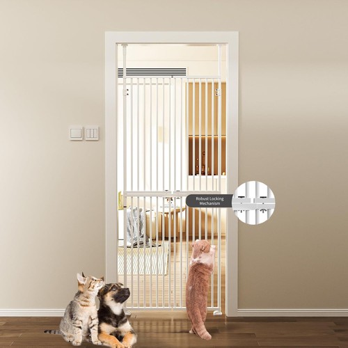 Slsy extra tall cat - tall, gate