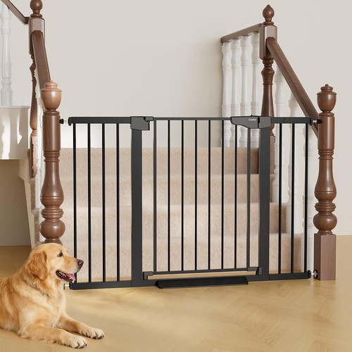 In extra wide baby - extra,