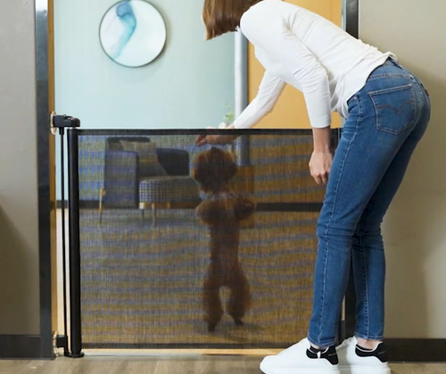 Mesh baby dog - mesh, gate